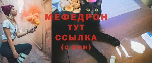 ешки Арсеньев