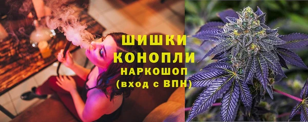 ешки Арсеньев