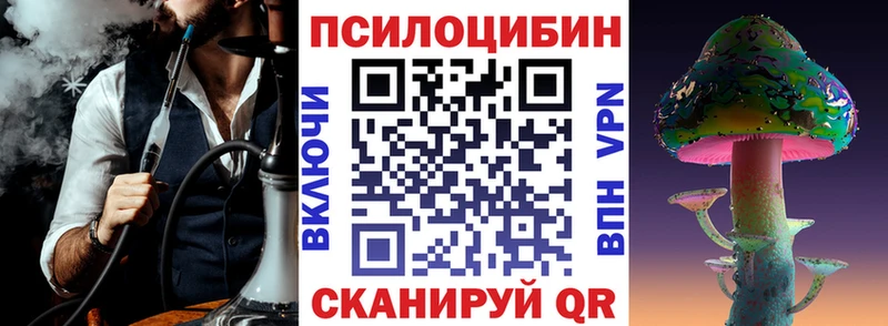 hydra зеркало  Городец  Псилоцибиновые грибы мухоморы  цена наркотик 